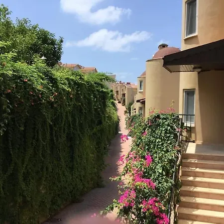 Cheerful 3 Bedroom With Amazing Sea View